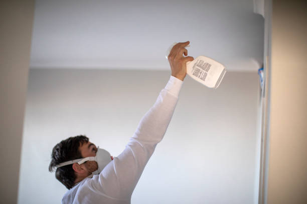 Best Mold Testing and Inspection Services in North Bellmore, NY